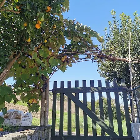 Bed and breakfast The Far End Surf House - Surf & Yoga Holidays *