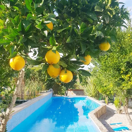The Far End Surf House - Surf & Yoga Holidays Lourinha (Lisbon)
