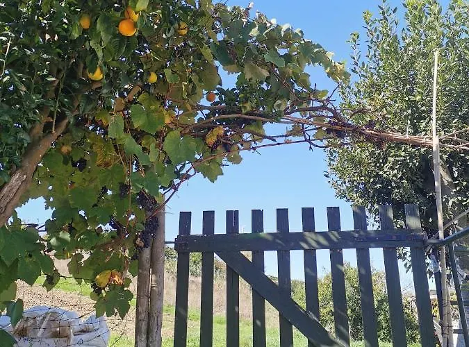 ベッド・アンド・ブレックファスト The Far End Surf House - Surf & Yoga Holidays *