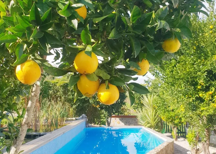 The Far End Surf House - Surf & Yoga Holidays ロウリニャン